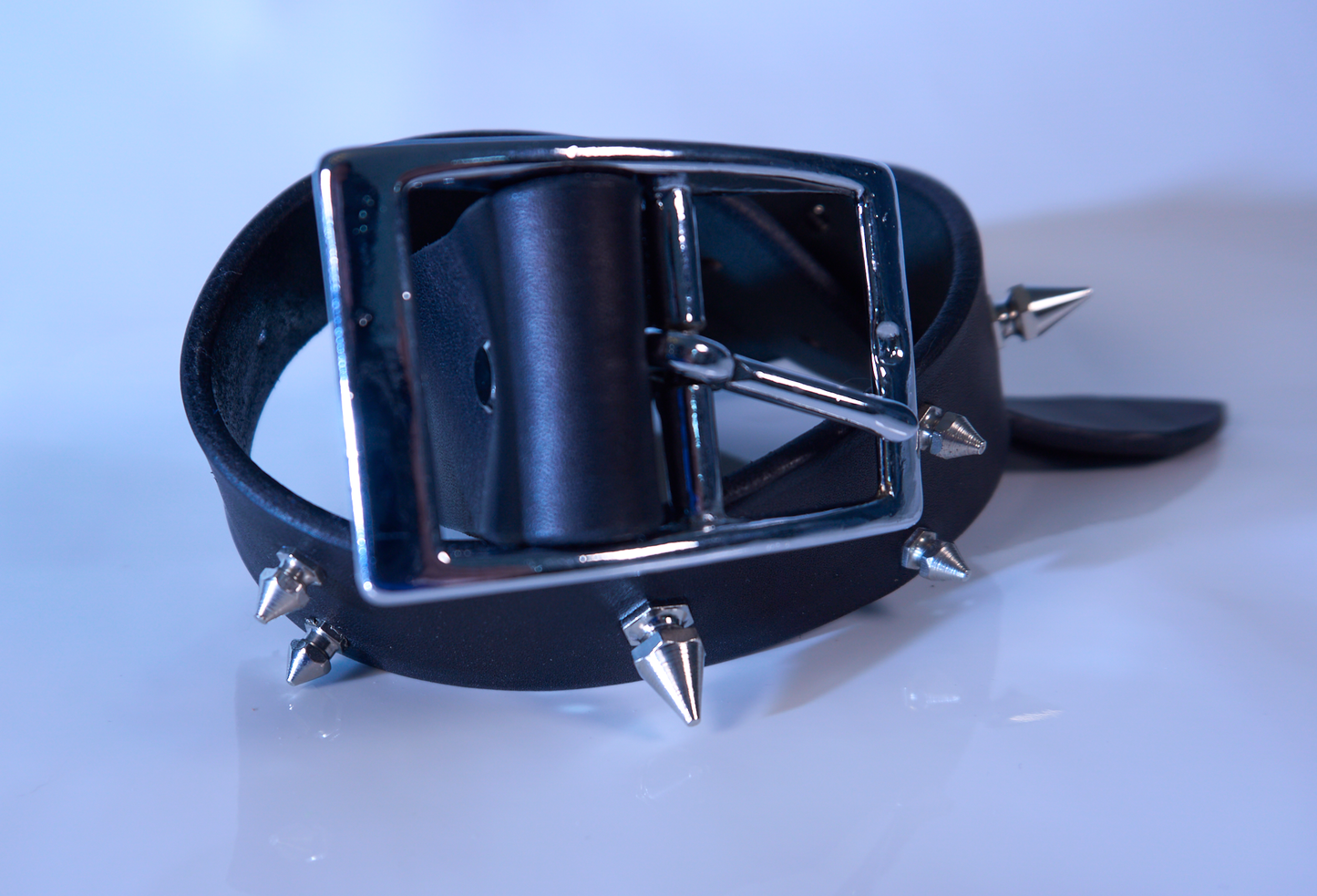 Leather dog collars