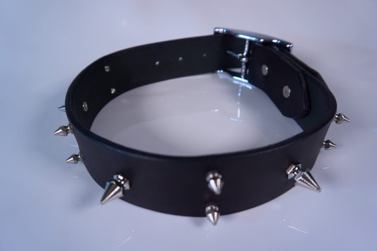 Leather dog collars