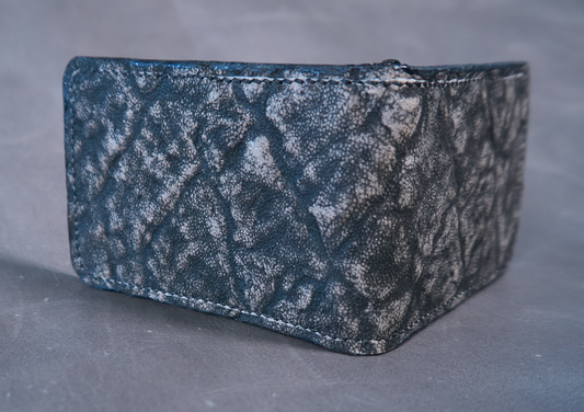 Closeup of elephant ear exterior with a money clip